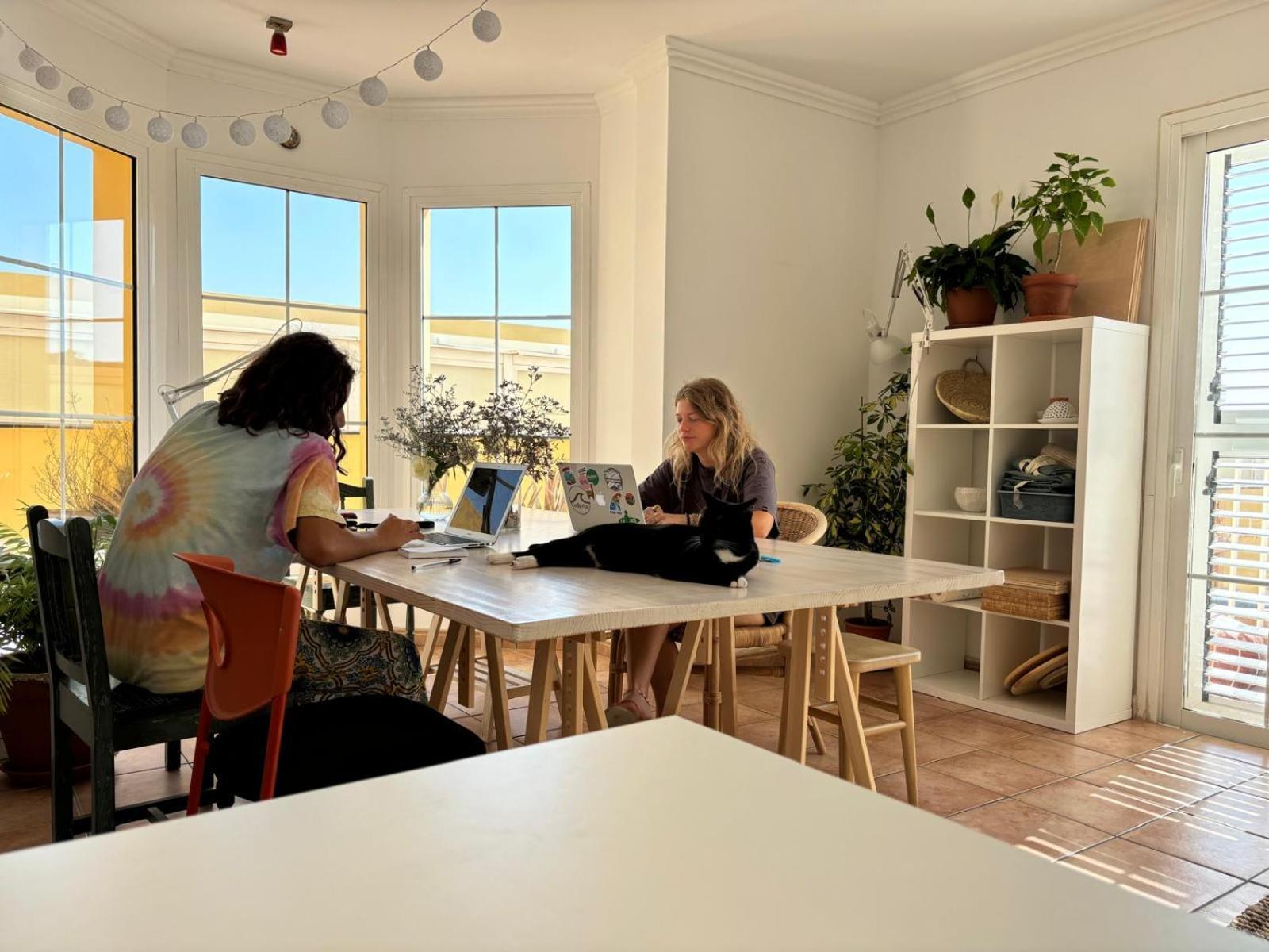 Medano Beach Coliving El Médano Extérieur photo